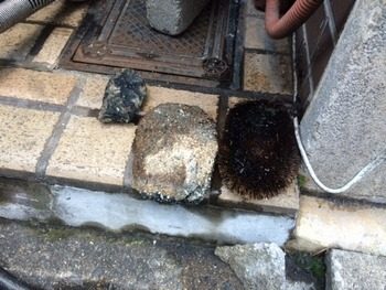 N様｜カメラによる管内調査